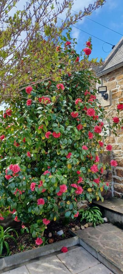 Cote De Granit Rose Villa Pleumeur-Bodou Exterior photo